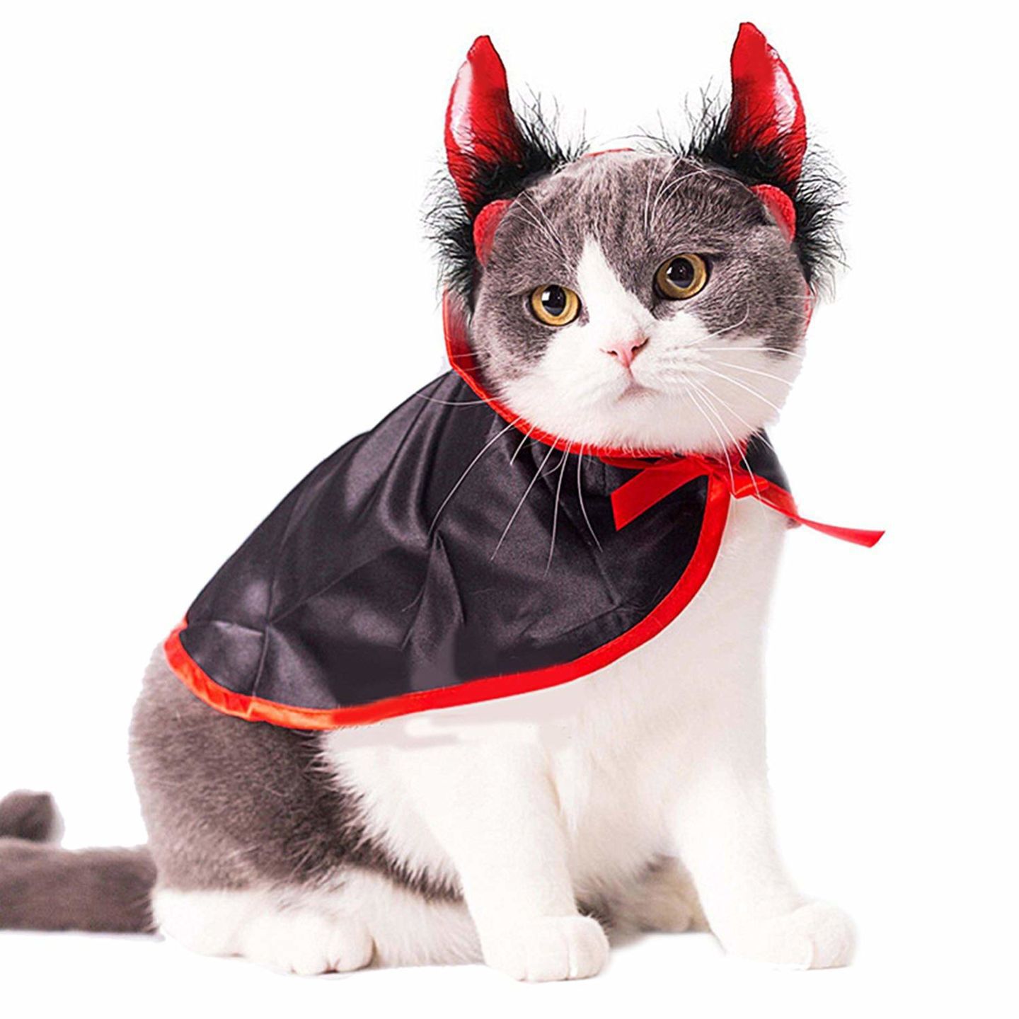 Devil